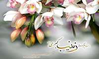 میلاد سراسر سعادت بزرگ پرستار دشت کربلا حضرت زینب کبری(س) و روز پرستار مبارکباد